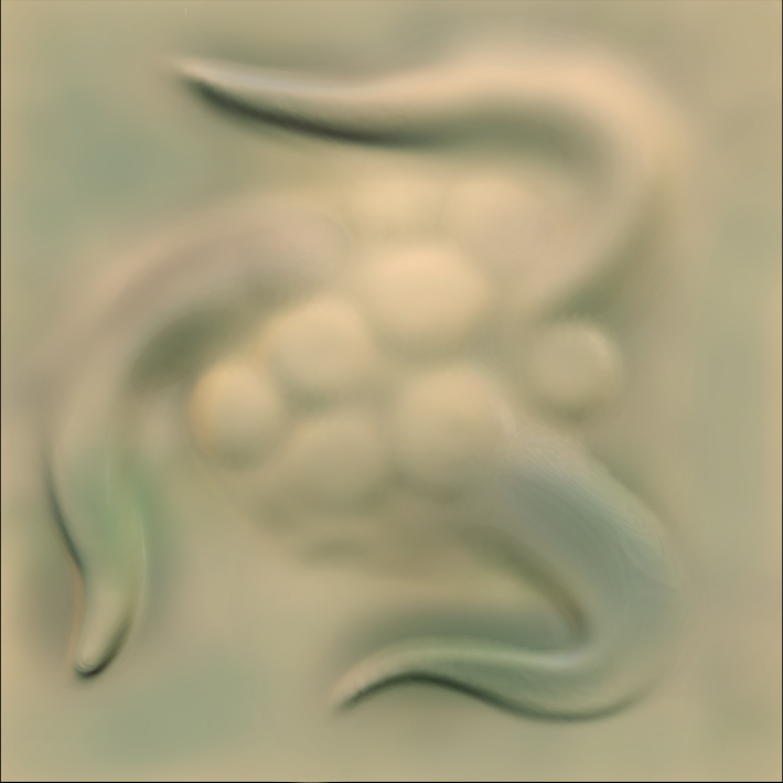 polyp-0.png